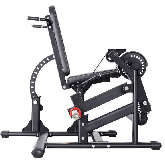 LEG EXTENSION E LEG CURL DA SDRAIATO A CARICO LIBERO CON CARRUCOLA 200KG SUPPORTATI